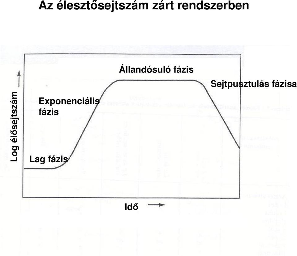 Sejtpusztulás fázisa Log