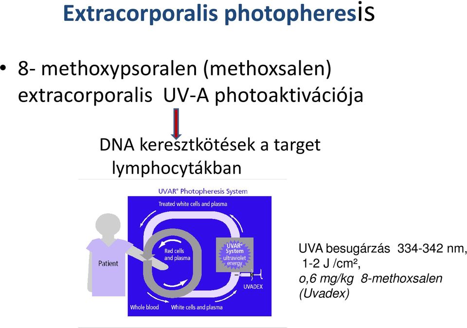 DNA keresztkötések a target lymphocytákban UVA