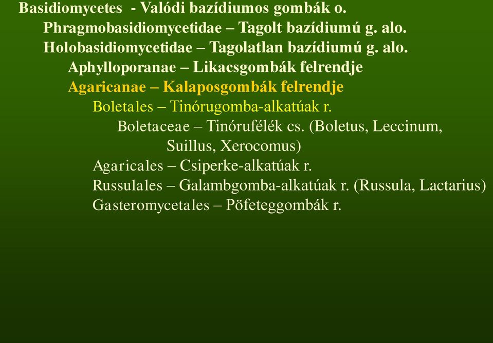 Aphylloporanae Likacsgombák felrendje Agaricanae Kalaposgombák felrendje Boletales Tinórugomba-alkatúak r.