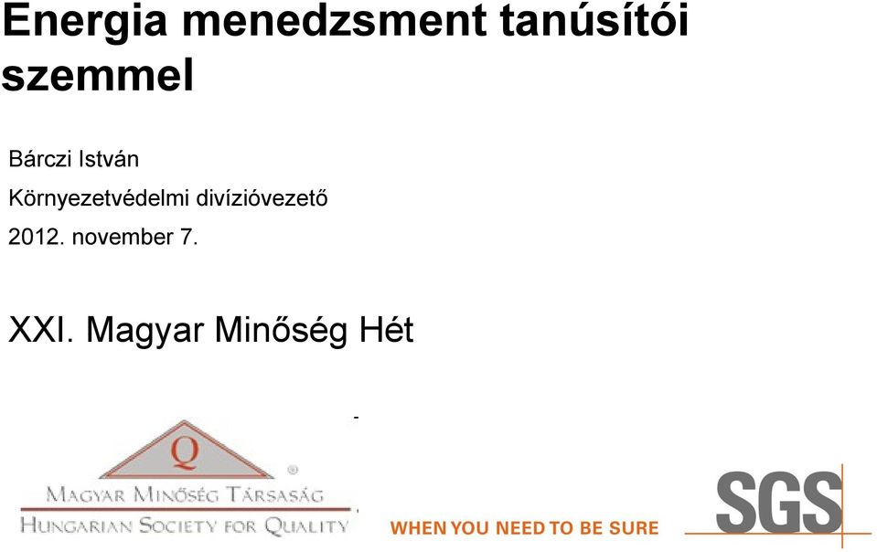 Környezetvédelmi divízióvezető