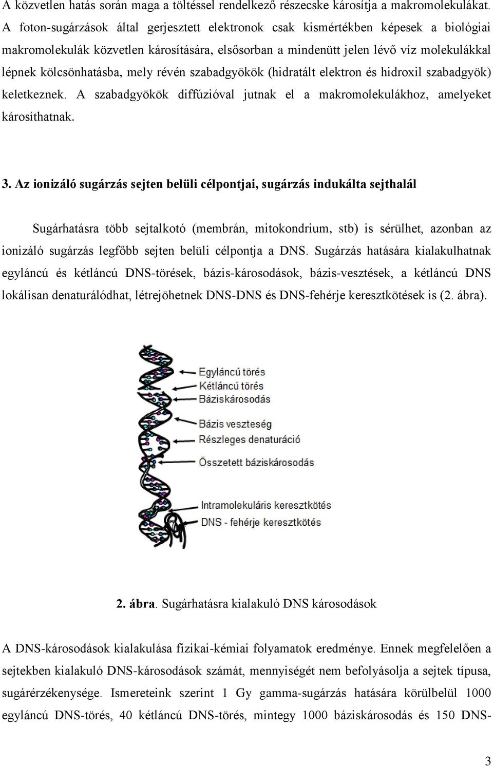 mely révén szabadgyökök (hidratált elektron és hidroxil szabadgyök) keletkeznek. A szabadgyökök diffúzióval jutnak el a makromolekulákhoz, amelyeket károsíthatnak. 3.