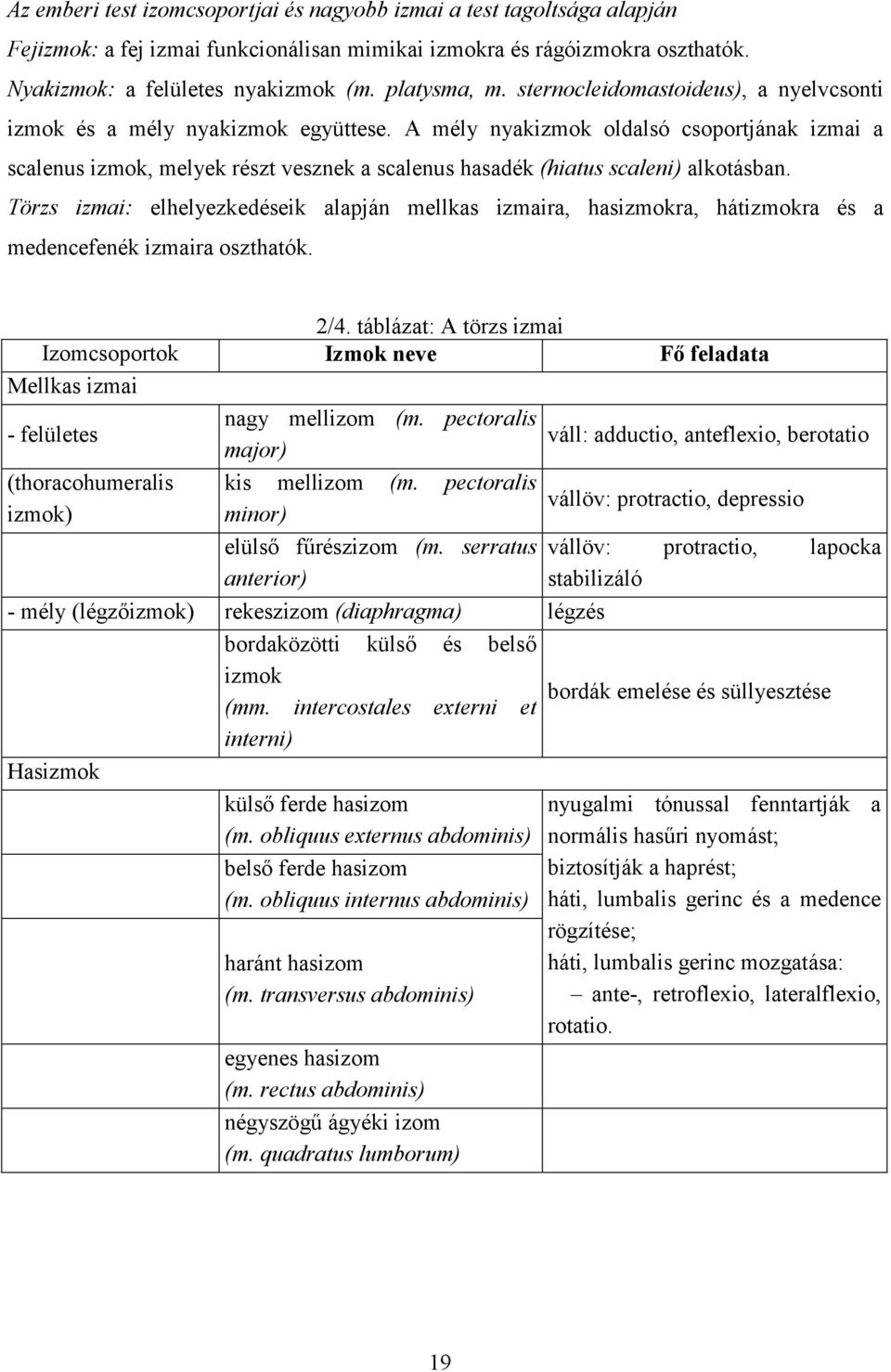 A mély nyakizmok oldalsó csoportjának izmai a scalenus izmok, melyek részt vesznek a scalenus hasadék (hiatus scaleni) alkotásban.