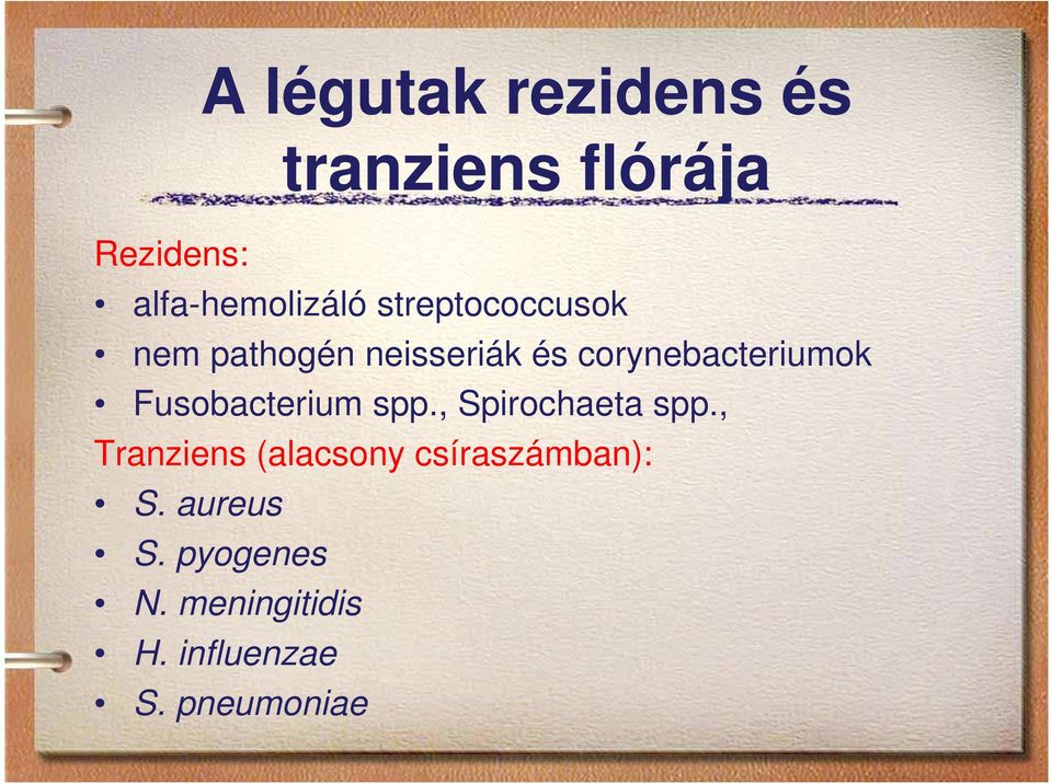 Fusobacterium spp., Spirochaeta spp.