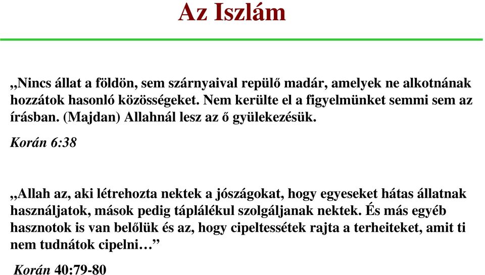 Korán 6:38 Allah az, aki létrehozta nektek a jószágokat, hogy egyeseket hátas állatnak használjatok, mások pedig