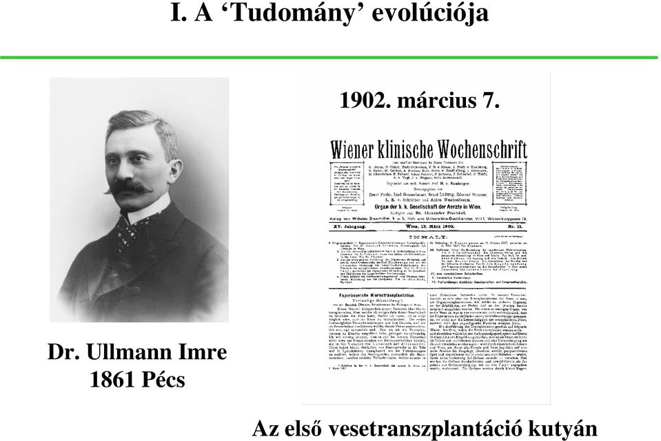 Ullmann Imre 1861 Pécs Az