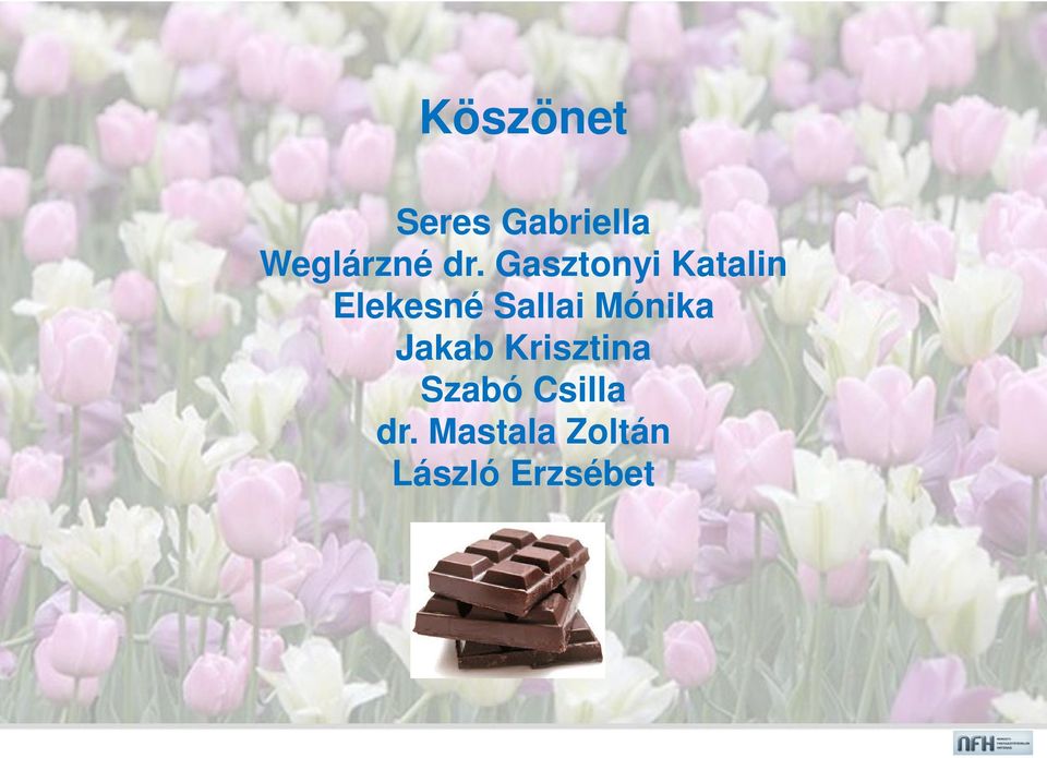 Sallai Mónika Jakab Krisztina Szabó