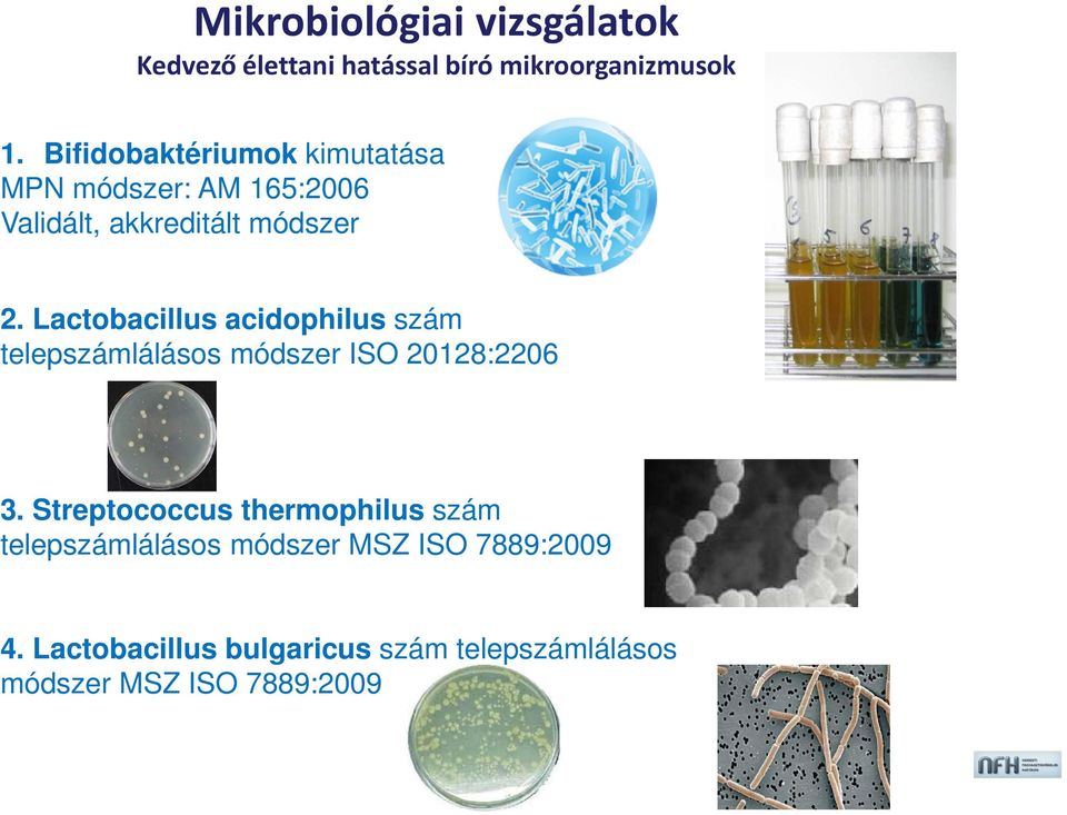 Lactobacillus acidophilus szám telepszámlálásos módszer ISO 20128:2206 3.