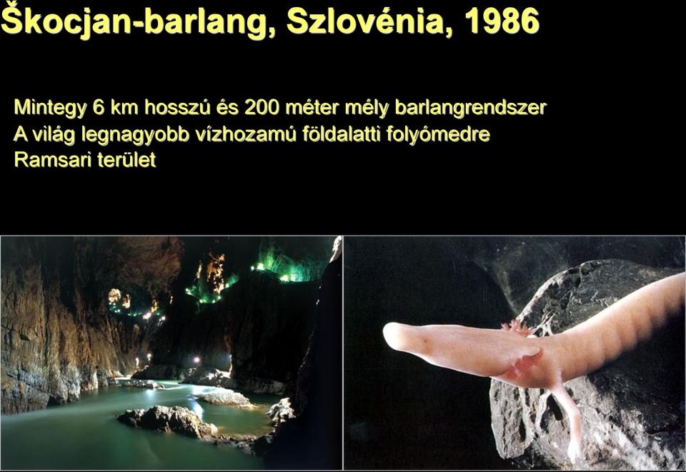 barlangrendszer A világ legnagyobb