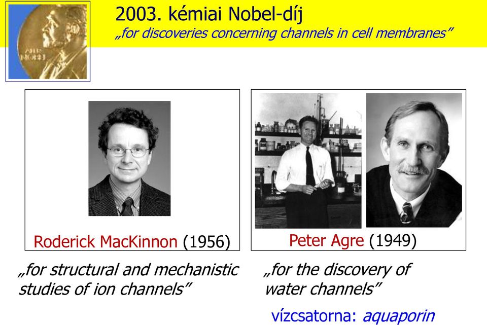 and mechanistic studies of ion channels Peter Agre (1949)