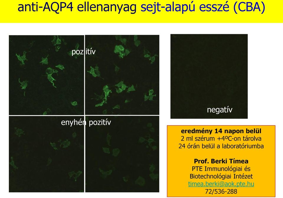 tárolva 24 órán belül a laboratóriumba Prof.