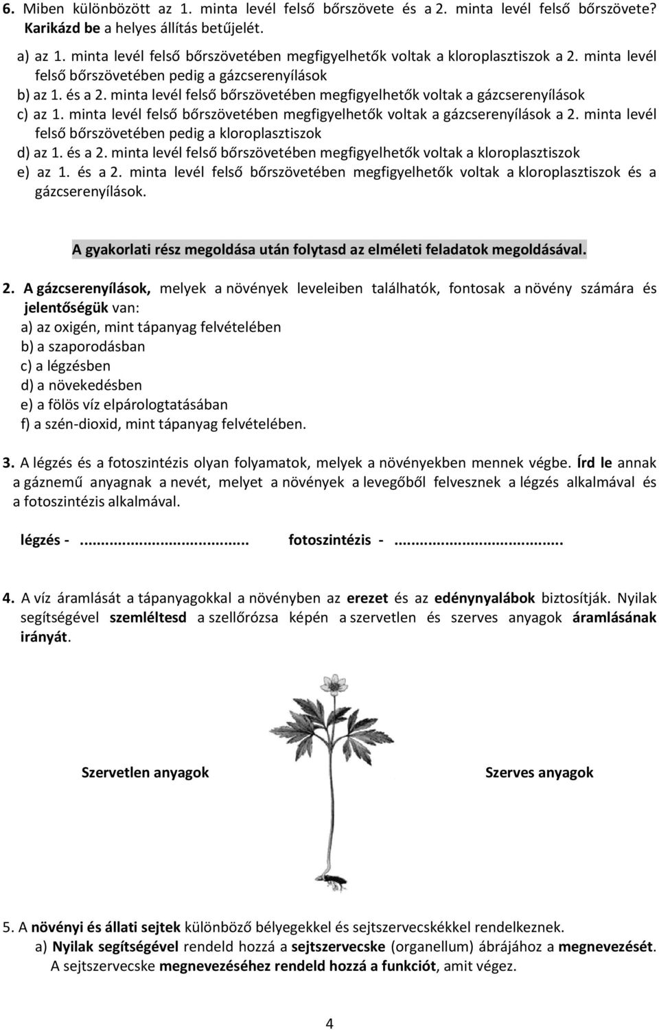 minta levél felső bőrszövetében megfigyelhetők voltak a gázcserenyílások c) az 1. minta levél felső bőrszövetében megfigyelhetők voltak a gázcserenyílások a 2.