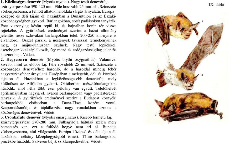 Este viszonylag késın repül ki, és hajnalban korán tér vissza rejtekébe. A győrőzések eredményei szerint a hazai állomány jelentıs része szlovákiai barlangokban telel. 200-250 km-nyire is elvándorol.