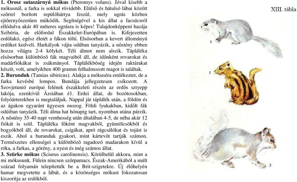 Tulajdonképpeni hazája Szibéria, de elıfordul Északkelet-Európában is. Kifejezetten erdılakó, egész életét a fákon tölti. Elsısorban a kevert állományú erdıket kedveli.