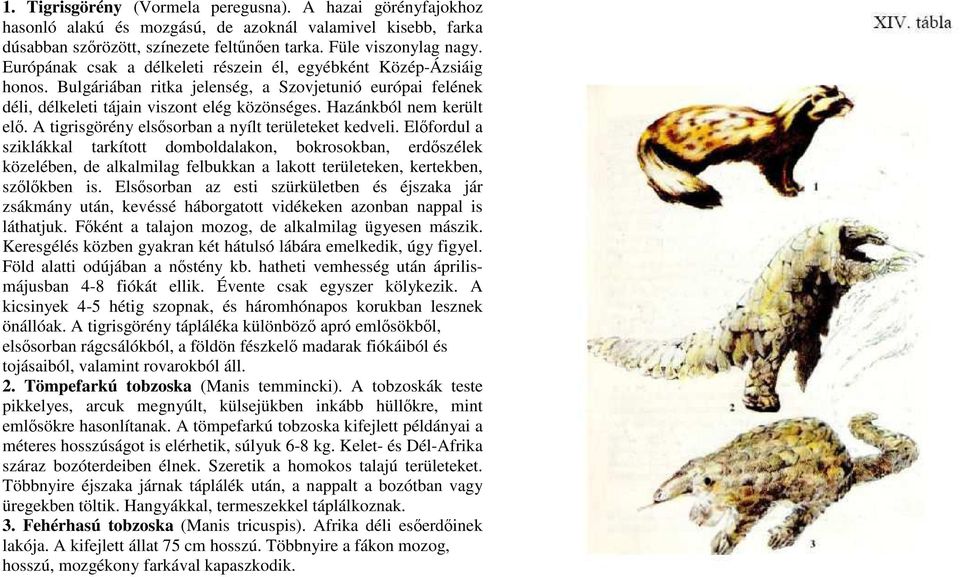 Hazánkból nem került elı. A tigrisgörény elsısorban a nyílt területeket kedveli.