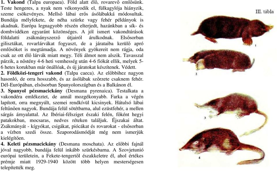 A jól ismert vakondtúrások földalatti zsákmányszerzı útjairól árulkodnak. Elsısorban gilisztákat, rovarlárvákat fogyaszt, de a járataiba kerülı apró emlısöket is megtámadja.