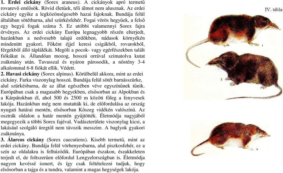 Az erdei cickány Európa legnagyobb részén elterjedt, hazánkban a nedvesebb talajú erdıkben, nádasok környékén mindenütt gyakori. Fıként éjjel keresi csigákból, rovarokból, férgekbıl álló táplálékát.
