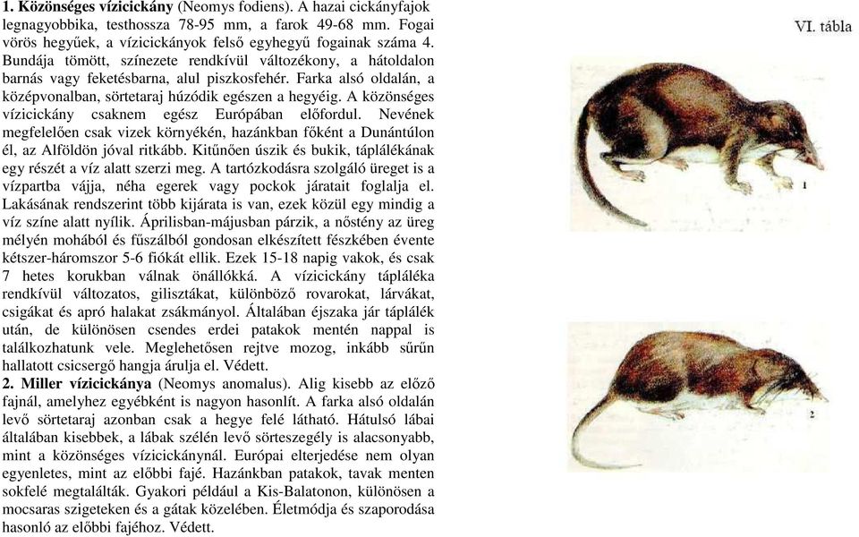 A közönséges vízicickány csaknem egész Európában elıfordul. Nevének megfelelıen csak vizek környékén, hazánkban fıként a Dunántúlon él, az Alföldön jóval ritkább.