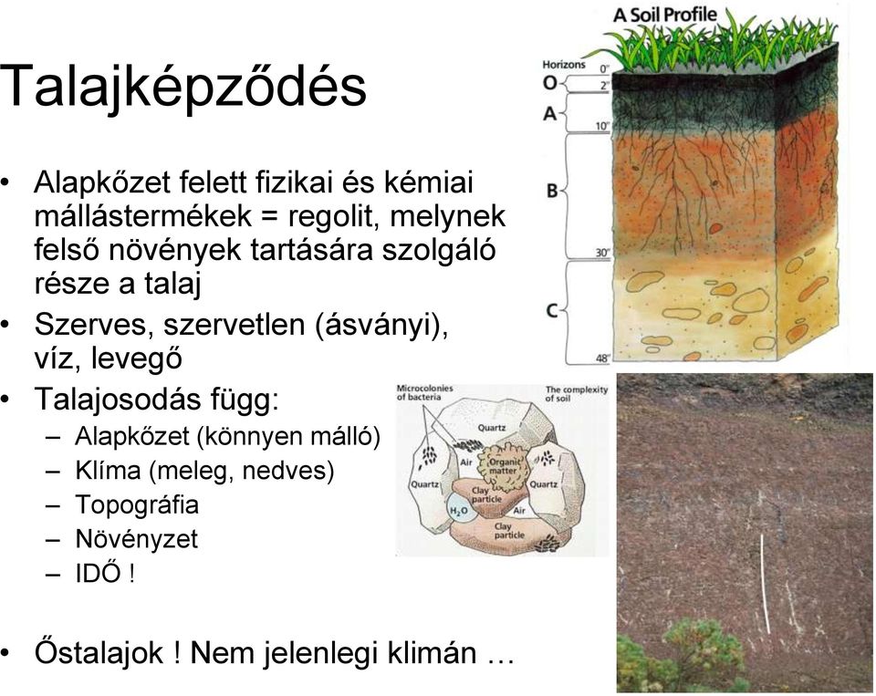 szervetlen (ásványi), víz, levegő Talajosodás függ: Alapkőzet (könnyen