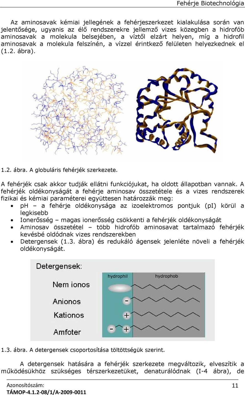 A fehérjék csak akkor tudják ellátni funkciójukat, ha oldott állapotban vannak.