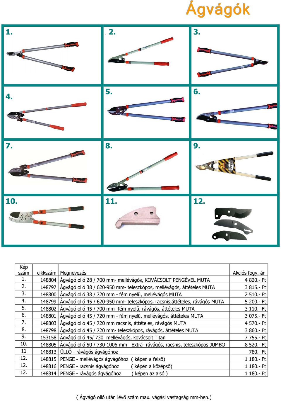 - Ft 148799 Ágvágó olló 45 / 620-950 mm- teleszkópos, racsnis,áttételes, rávágós MUTA 5 200.- Ft 5. 148802 Ágvágó olló 45 / 700 mm- fém nyelő, rávágós, áttételes MUTA 3 110.- Ft 6.