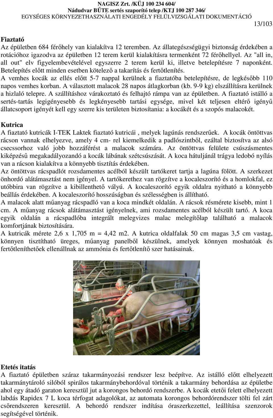 A vemhes kocák az ellés elıtt 5-7 nappal kerülnek a fiaztatóba betelepítésre, de legkésıbb 110 napos vemhes korban. A választott malacok 28 napos átlagkorban (kb.