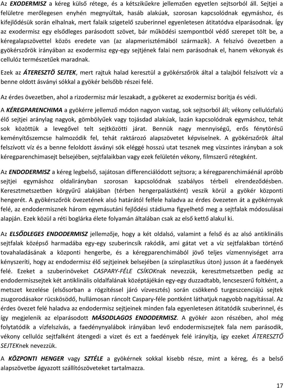 elparásodnak. Így az exodermisz egy elsődleges parásodott szövet, bár működési szempontból védő szerepet tölt be, a kéregalapszövettel közös eredete van (az alapmerisztémából származik).