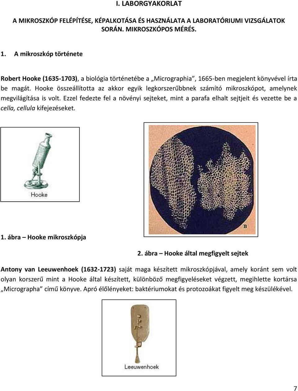 Hooke összeállította az akkor egyik legkorszerűbbnek számító mikroszkópot, amelynek megvilágítása is volt.