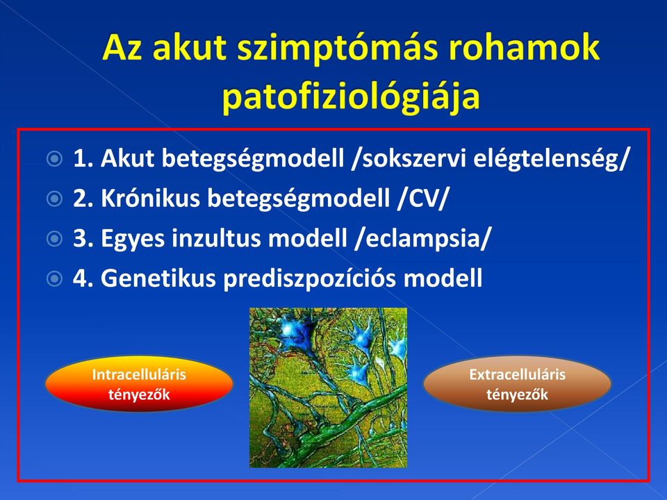 Egyes inzultus modell /eclampsia/ 4.
