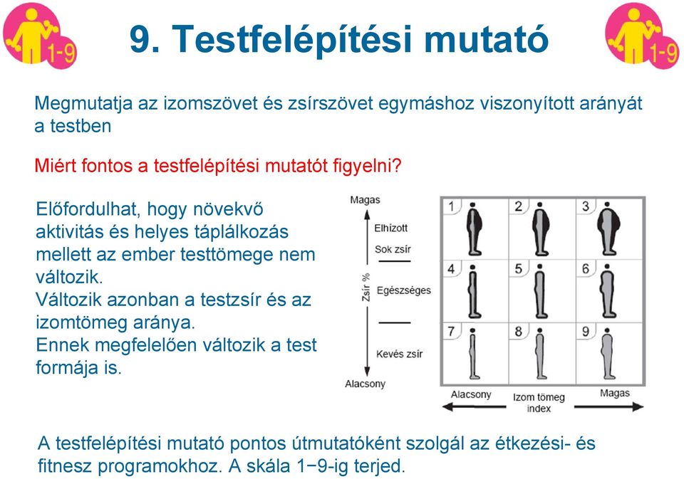 Előfordulhat, hogy növekvő aktivitás és helyes táplálkozás mellett az ember testtömege nem változik.