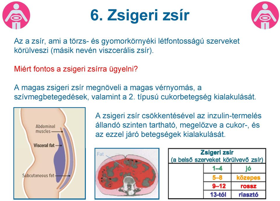 A magas zsigeri zsír megnöveli a magas vérnyomás, a szívmegbetegedések, valamint a 2.