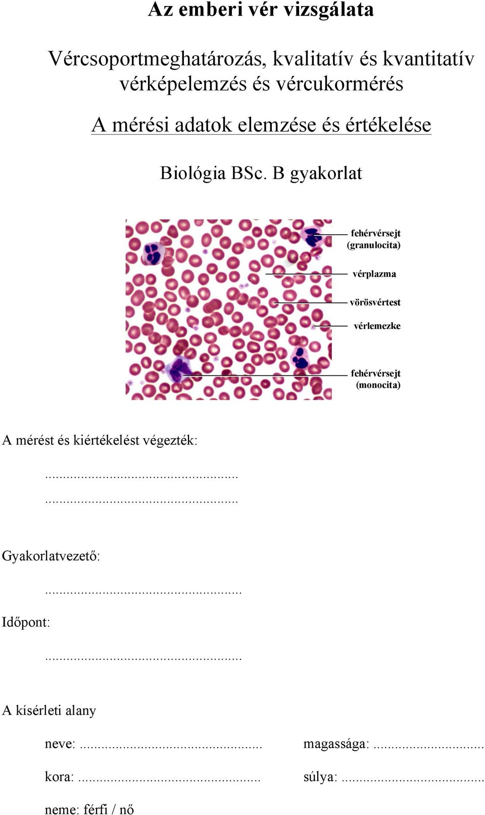 B gyakorlat fehérvérsejt (granulocita) vérplazma vörösvértest vérlemezke fehérvérsejt (monocita) A