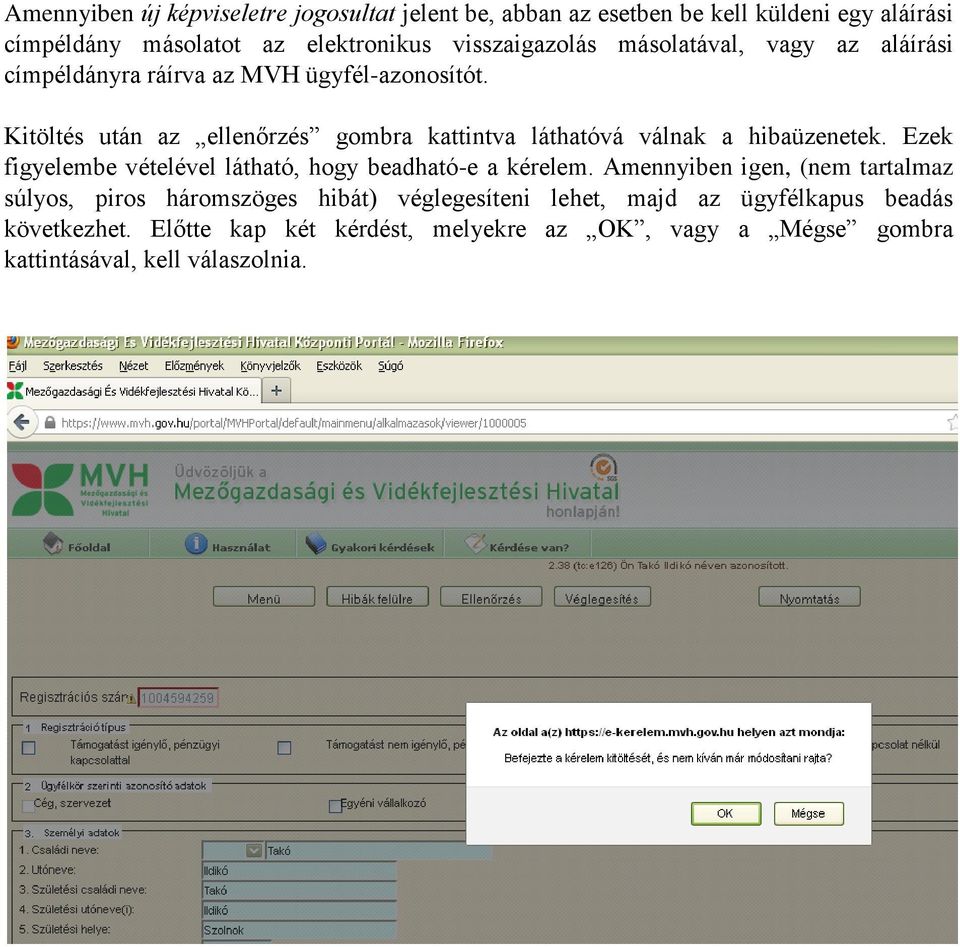 Kitöltés után az ellenőrzés gombra kattintva láthatóvá válnak a hibaüzenetek. Ezek figyelembe vételével látható, hogy beadható-e a kérelem.