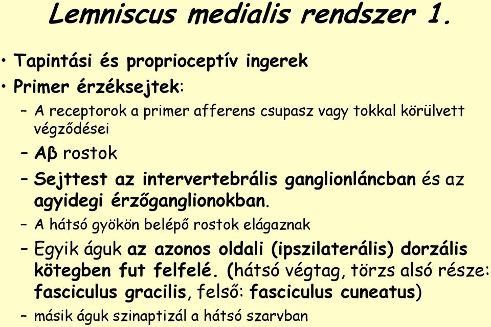 végződései Aβ rostok Sejttest az intervertebrális ganglionláncban és az agyidegi érzőganglionokban.