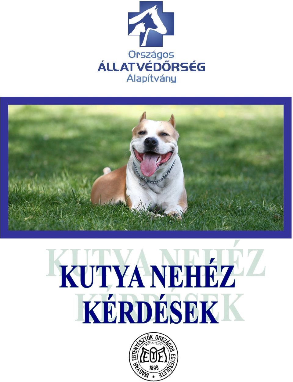 I. fejezet Kutyavásárlás előtt - PDF Free Download