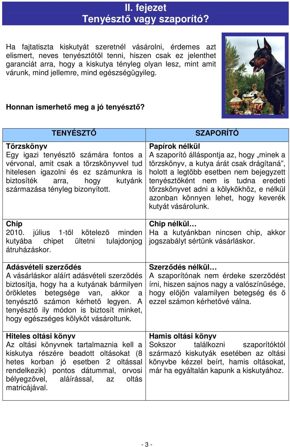 I. fejezet Kutyavásárlás előtt - PDF Free Download