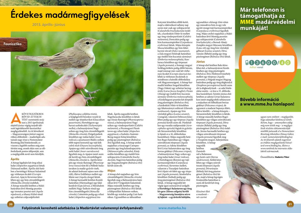 okán sem az előfordulások pontos időpontját, sem a megfigyelők nevét nem közöljük. Április A hónap legelején két öreg nílusi ludat (Alopochen aegyptiaca) láttak Dalmand mellett.