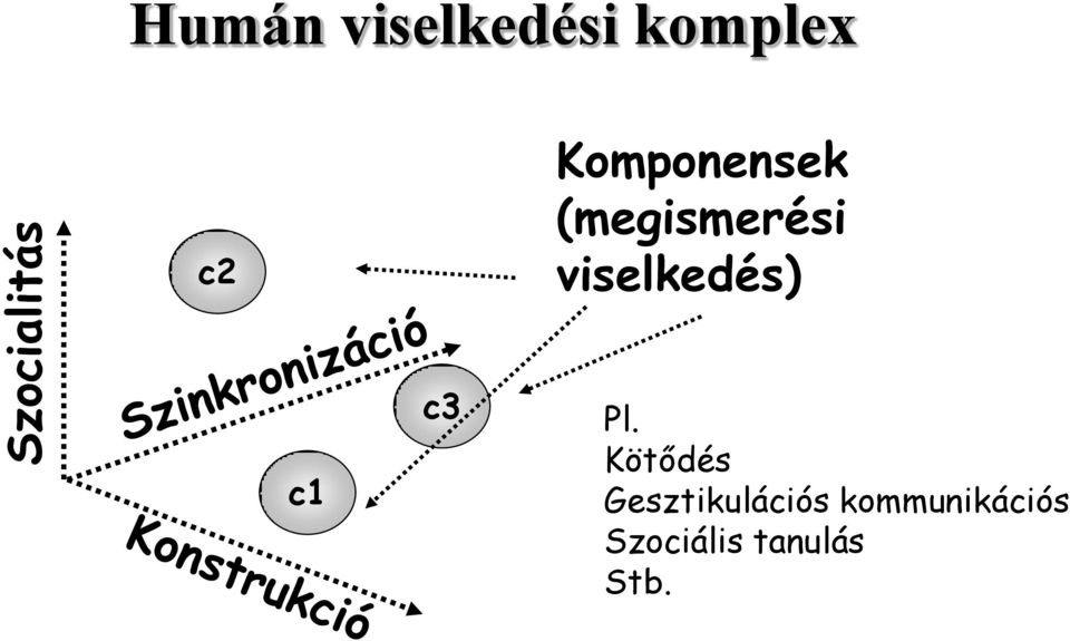 viselkedés) c1 c3 Pl.