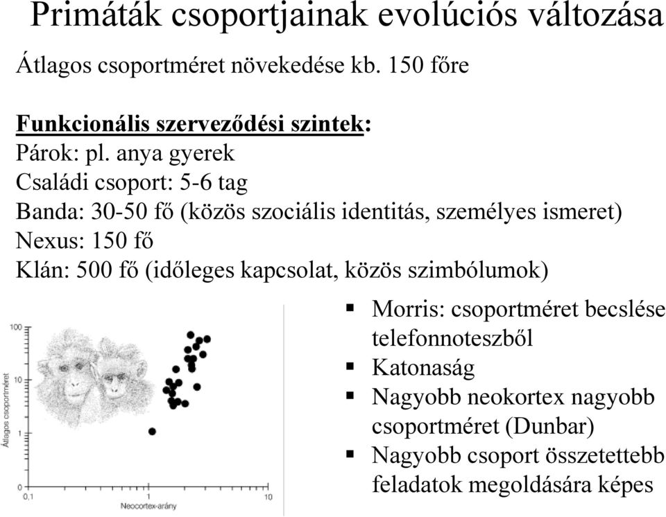 anya gyerek Családi csoport: 5-6 tag Banda: 30-50 fő (közös szociális identitás, személyes ismeret) Nexus: 150 fő