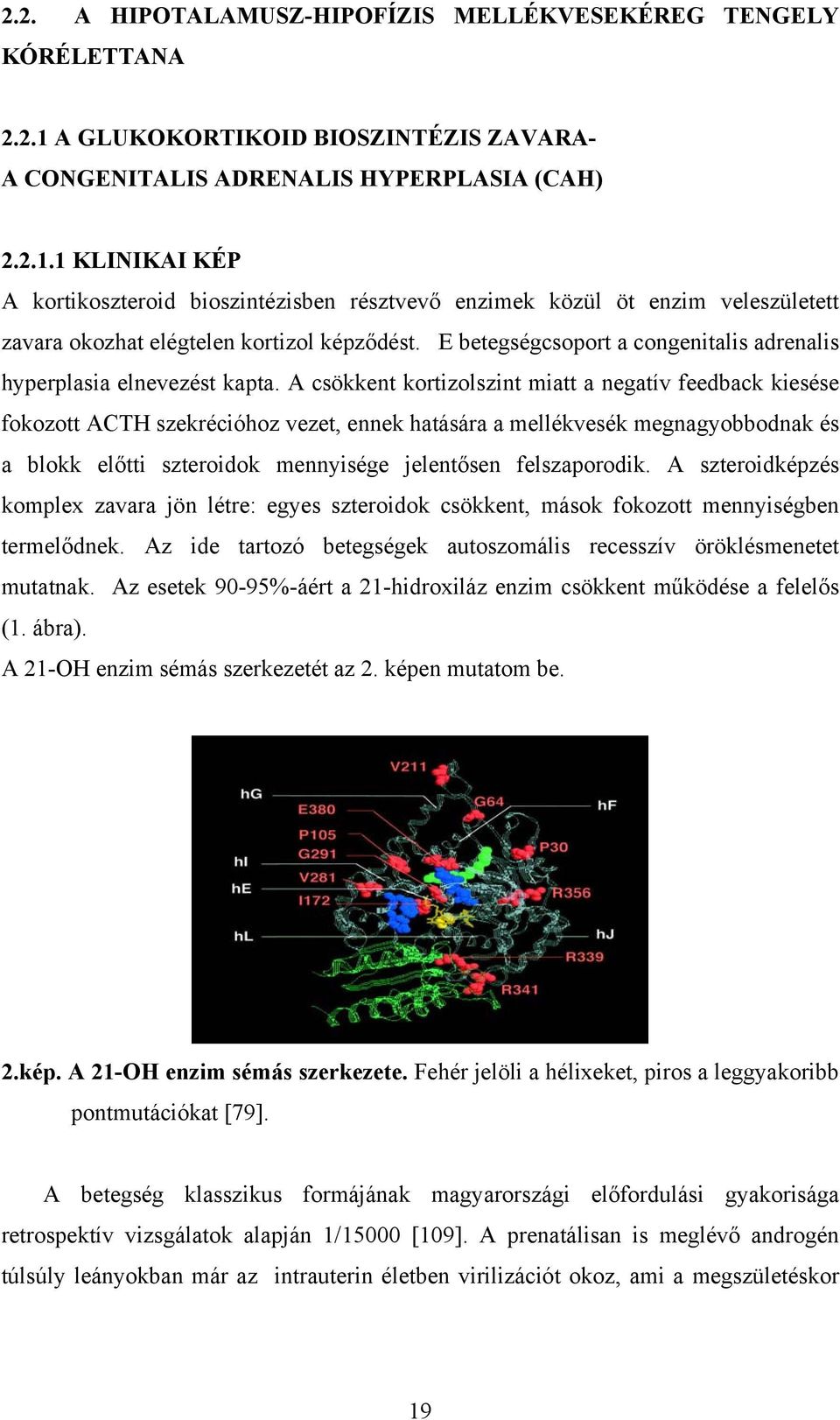 1 KLINIKAI KÉP A kortikoszteroid bioszintézisben résztvevő enzimek közül öt enzim veleszületett zavara okozhat elégtelen kortizol képződést.