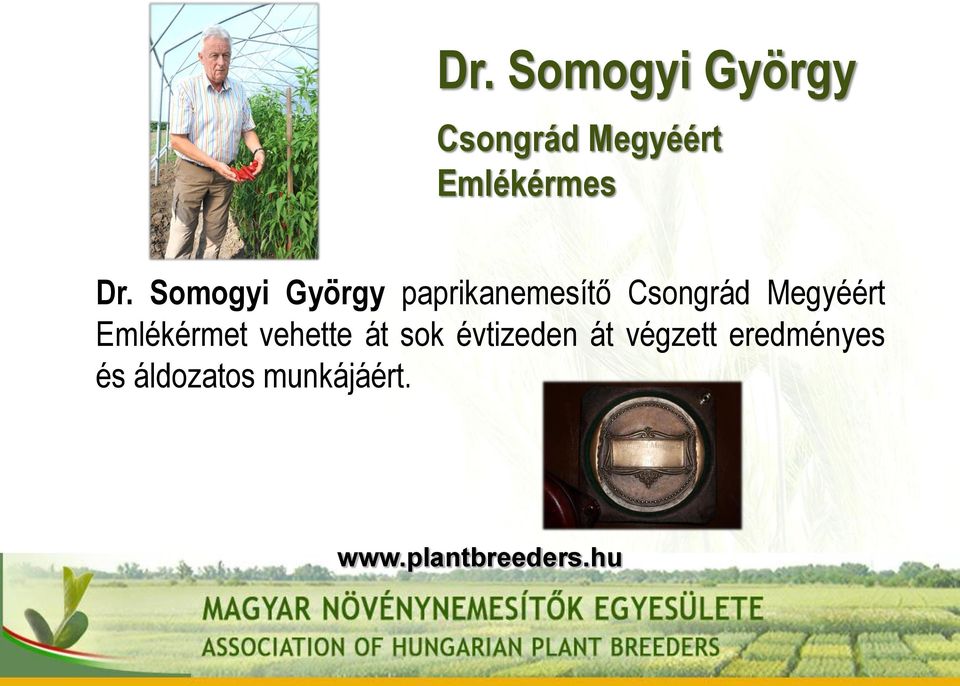 Somogyi György paprikanemesítő Csongrád