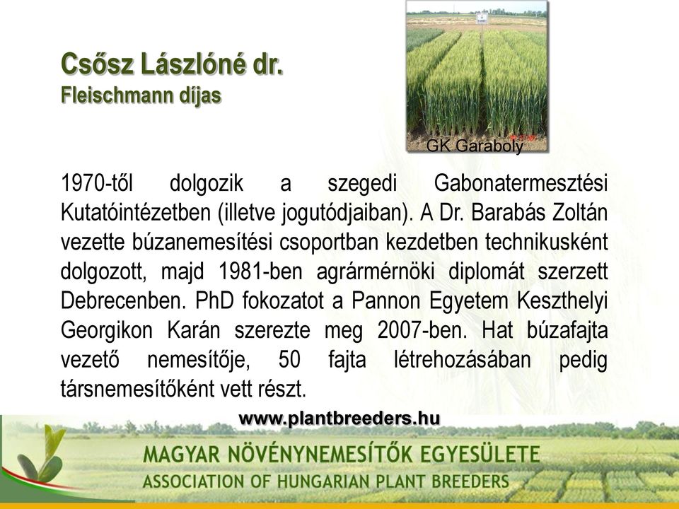 Barabás Zoltán vezette búzanemesítési csoportban kezdetben technikusként dolgozott, majd 1981-ben agrármérnöki