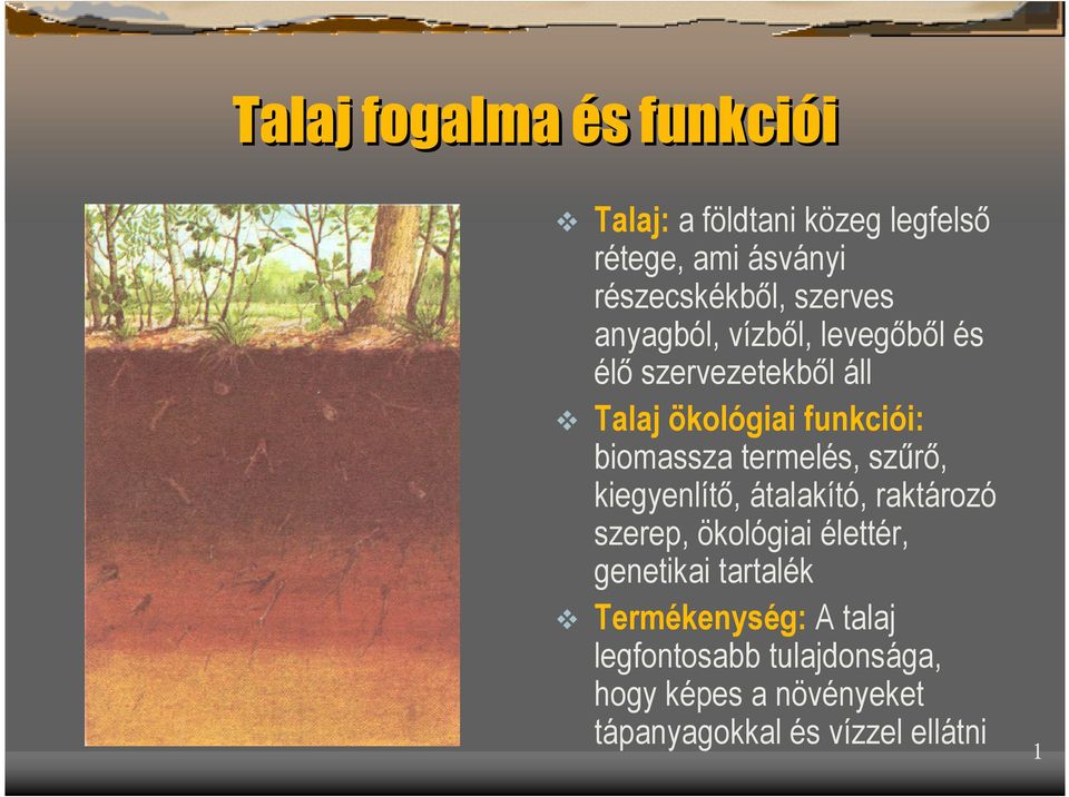 termelés, szűrő, kiegyenlítő, átalakító, raktározó szerep, ökológiai élettér, genetikai tartalék