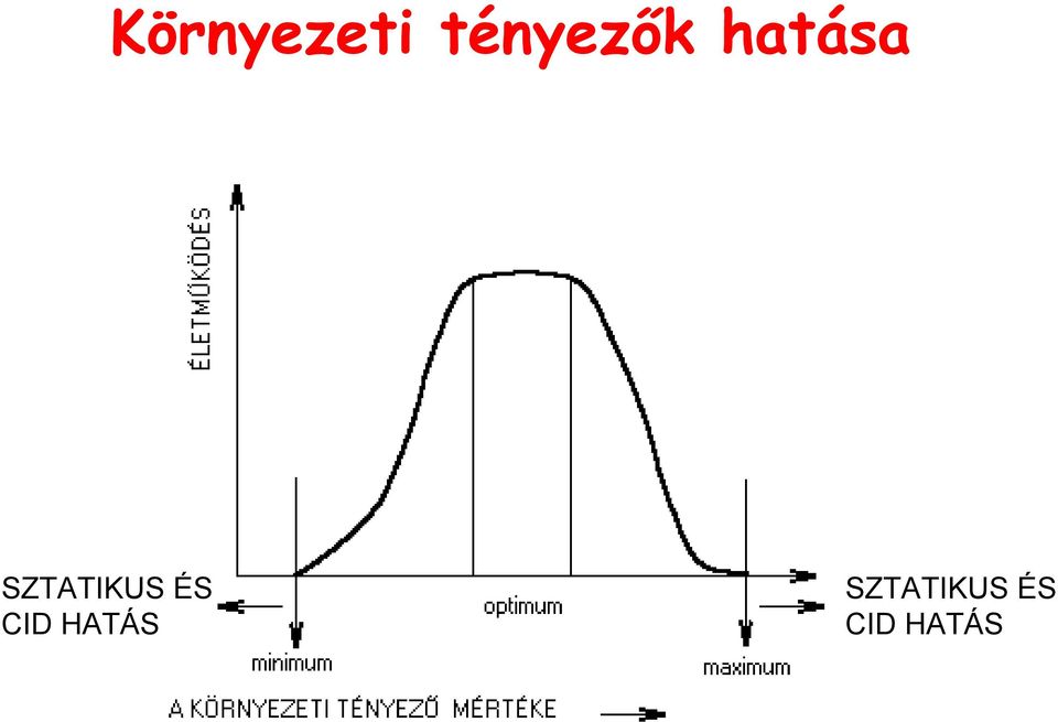 SZTATIKUS ÉS CID