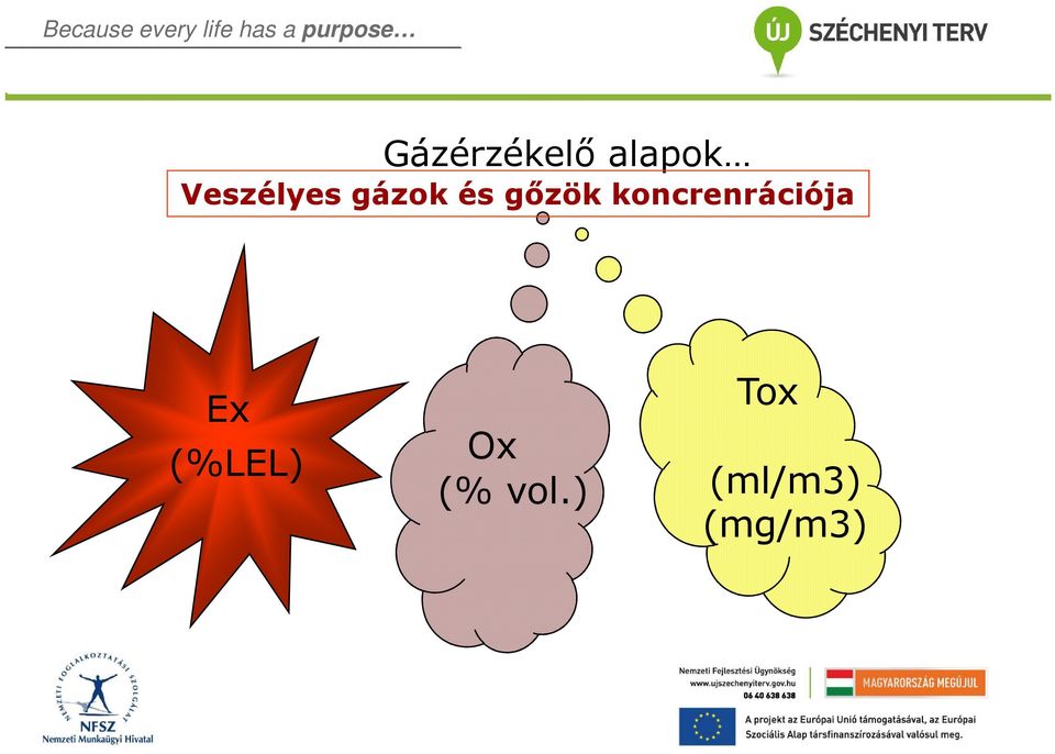 koncrenrációja Ex (%LEL)