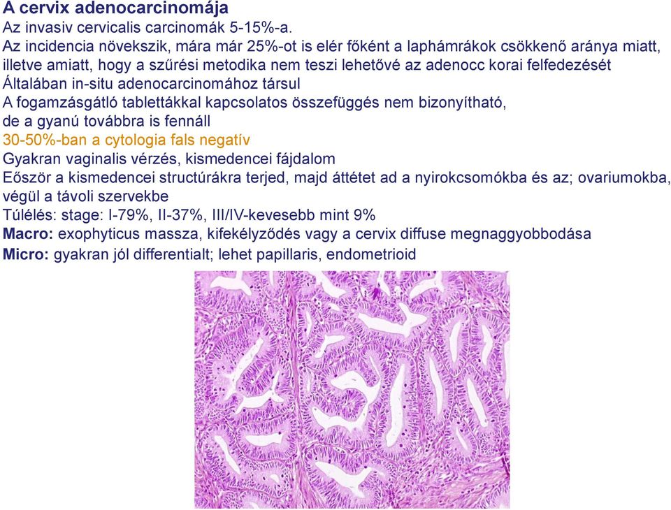 adenocarcinomához társul A fogamzásgátló tablettákkal kapcsolatos összefüggés nem bizonyítható, de a gyanú továbbra is fennáll 30-50%-ban a cytologia fals negatív Gyakran vaginalis vérzés,