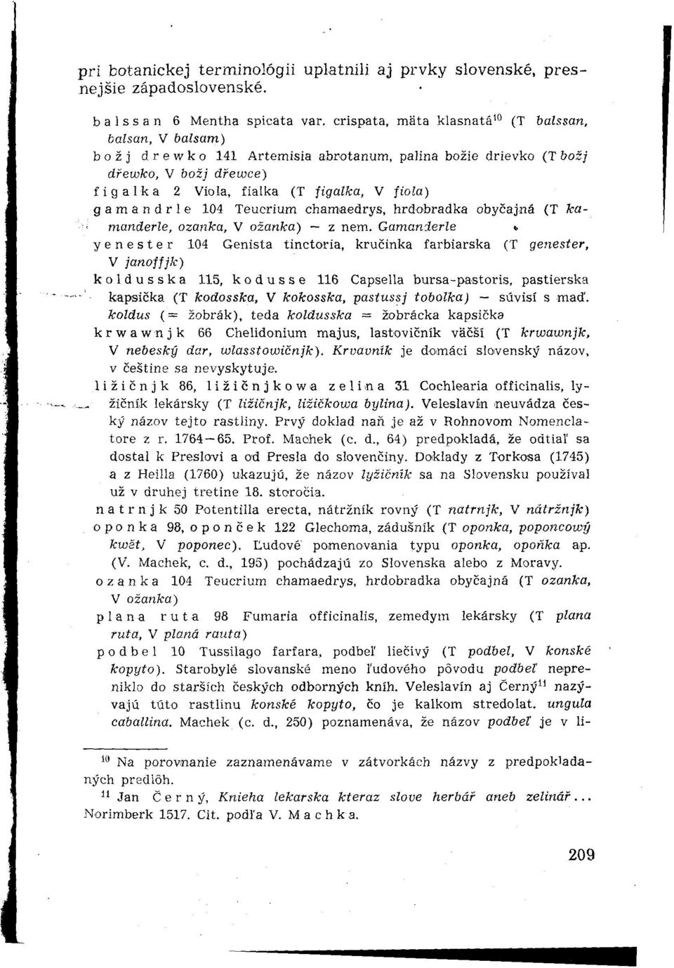 gamandrle 104 Teuorium chamaedrys, hrdobradka obyčajná (T kamanderle, ozanka, V ožanka) z nem.