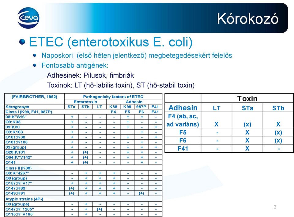 Pathogenicity factors of ETEC Enterotoxin Adhesin Sérogroupe STa STb LT K88 K99 987P F41 Class I (K99, F41, 987P) F4 F5 F6 F41 08:K"S16" + - - - + + - O9:K35 + - - - + - - 09:K30 + - - - + - +