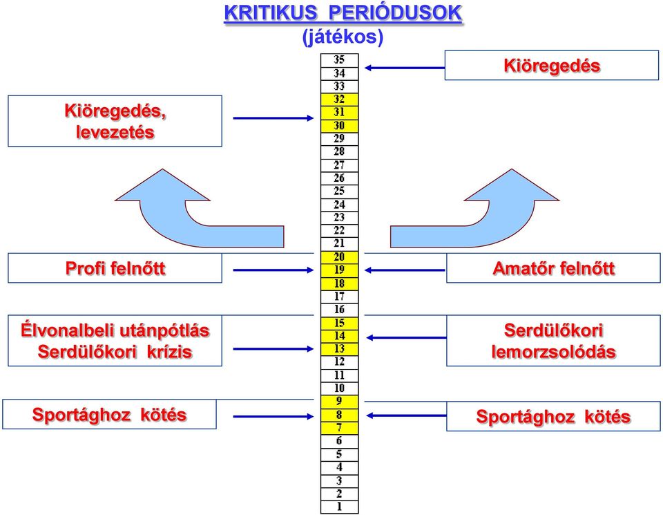 felnőtt Élvonalbeli utánpótlás Serdülőkori