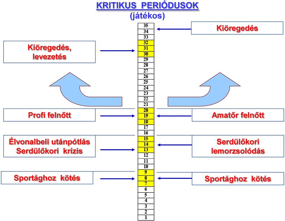 felnőtt Élvonalbeli utánpótlás Serdülőkori