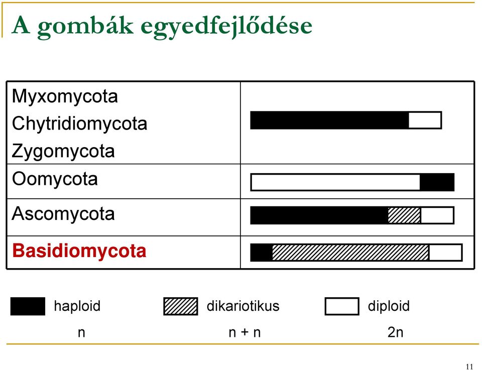 Oomycota Ascomycota Basidiomycota